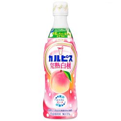 【完熟白桃】カルピス 希釈用 470ml