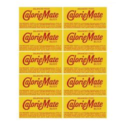 【10個セット】カロリーメイトブロック チョコレート味 2本入り