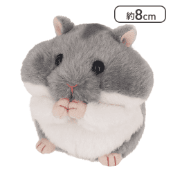 もごもごはむすた～さふぁいあさん[R]