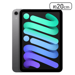 Apple iPad mini(A17 Pro)(128GB/スペースグレー）【取り寄せ入荷後直接発送】