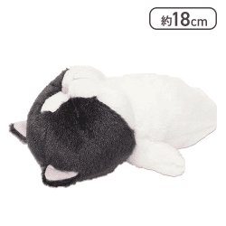 ぼうみたいなねこ はちぼう ぬいぐるみ[R]