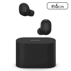 ソニー(SONY) WF-1000XM6 ブラック【取り寄せ入荷後次第発送】