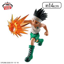 HUNTER×HUNTER フィギュア-ゴン-G.I.編