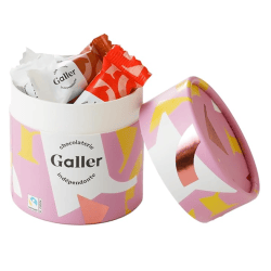 【単品配送不可】ガレー  チョコレート  ナノバー(ミルク＆ダークプラリネ)【10個入】