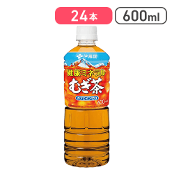 伊藤園 健康ミネラルむぎ茶 600ml×24本【取り寄せ入荷後直接発送】