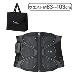 シックスパッド コアベルト2・アブズ2 Lサイズ【取り寄せ入荷後次第発送】