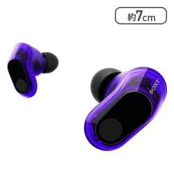 ソニー ゲーミングイヤホン INZONE Buds:WF-G700N【取り寄せ入荷後次第発送】