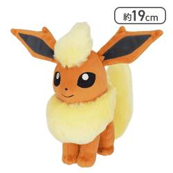 ポケットモンスター ALL STAR COLLECTION ブースター (S) [R]
