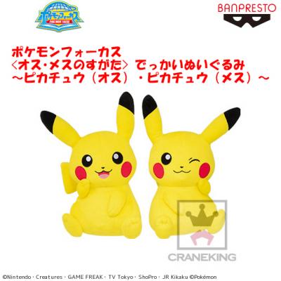ポケモンフォーカス オス メスのすがた でっかいぬいぐるみ ピカチュウ オス ピカチュウ メス Luck Rock ラックロック オンラインクレーンゲーム