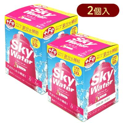 【2個セット】10L スカイウォーターライチ箱